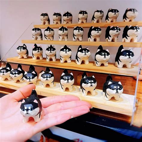 二哈送什么礼物好最新素材