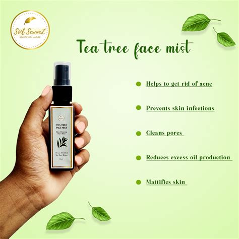 Tea Tree Face Mist Diy at James Daulton blog