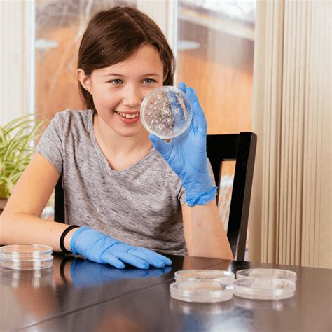 Science Project Examples 的图像结果