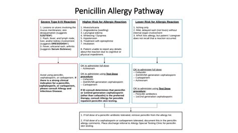 PPT - Beta-Lactam Antibiotic Allergy Evaluation Guideline PowerPoint ...