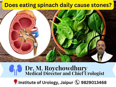 Can the Prostate Regrow After Prostate Surgery?