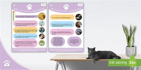 How to Keep Cats Cool - Information Sheet - Summer - Pets