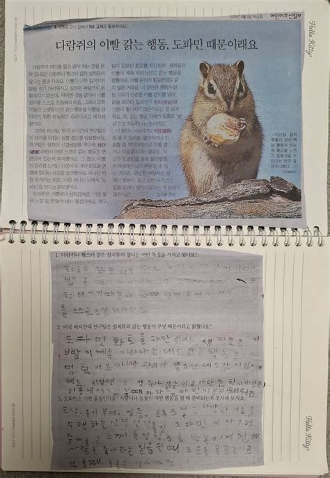 [뉴스탐험대 중계 코너] 뱅크시, 다람쥐, 세이지