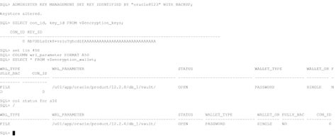 Oracle Database Encryption 12C 的图像结果
