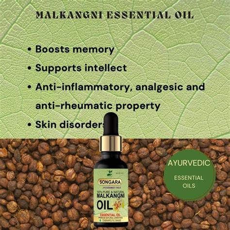 Songara Pure Malkangani (Jyotishmati) Oil (Celastrus – songaras