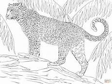 ausmalbilder jaguar ausdrucken ausmalbild jaguar ausmalbilder kostenlos zum ausdrucken ausmalbilder jaguar ausdrucken ausmalbild jaguar ausmalbilder kostenlos zum ausdrucken