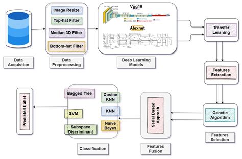 Hybrid Deep Learning Model for Endoscopic Lesion Detection and ...