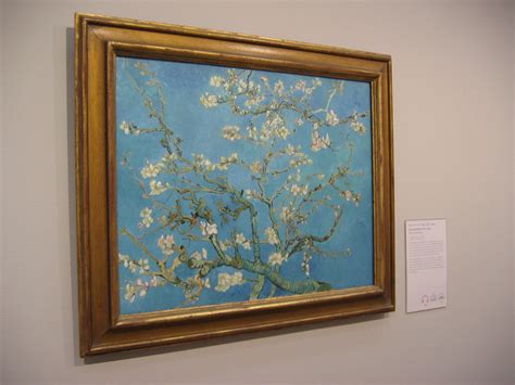 Almond Blossom Van Gogh