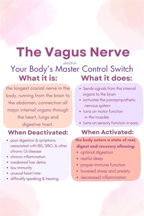 5 easy ways to activate your vagus nerve and calm anxiety – Artofit