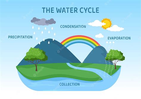 Water Cycle Wallpapers - Top Free Water Cycle Backgrounds - WallpaperAccess