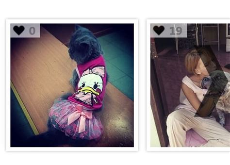 42+ JQuery Instagram Plugins - April 2026