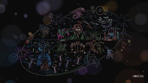 Biology Desktop Wallpaper 的图像结果