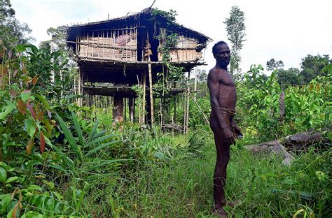 Unveiling the Secrets of the Enchanting Korowai Tribe: A Journey into the Heart of Papua