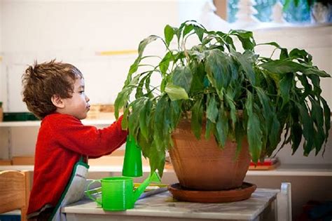 how to make kids brain sharp definitely follow these steps pur - News18 ...