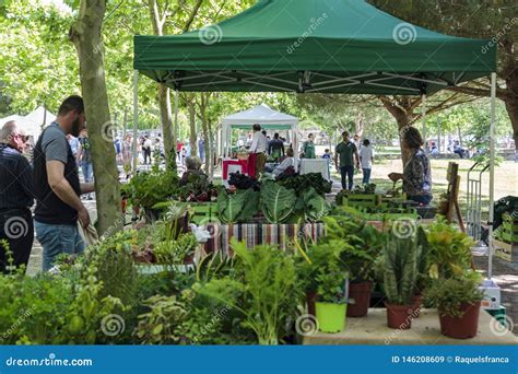 Christmas Discount Organic Local Produce 的图像结果