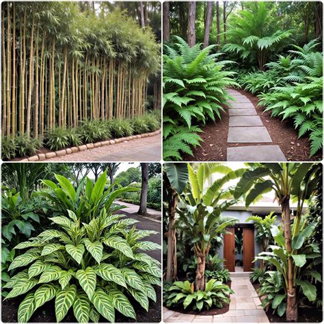 25 Florida Backyard Ideas for Tropical and Modern Homes