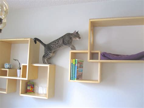 catified | thatpearlgirl | Cat wall shelves, Modern cat tree, Cat ...