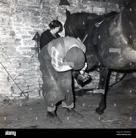 1970s, historical, a farrier at work in a stables shoeing a horse ...