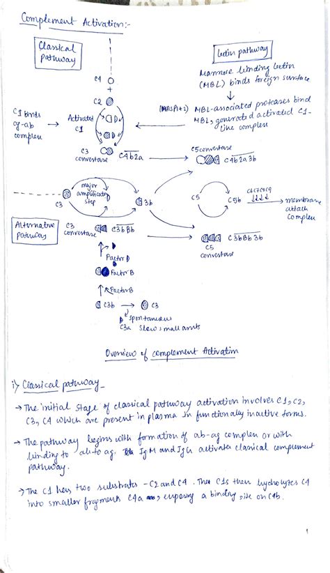 Image result for Complement System Animation