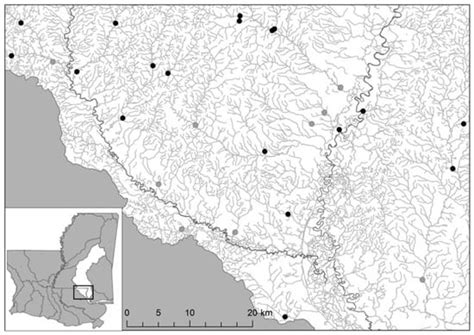 Microhabitat and Landscape Drivers of Richness and Abundance of ...
