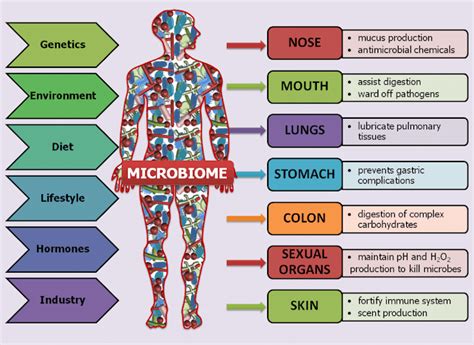 Image result for Microarray eQTL