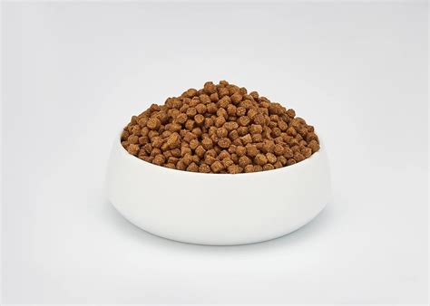 Schesir Cat Dry Food Maintenance with Chicken-Adult[Weight - 1.5kg ...