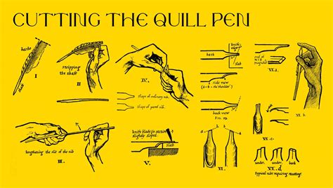 Quill Ratings at William Gainey blog