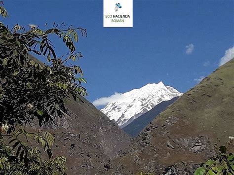 ECO HACIENDA ROMAN (Aguas Calientes) - Hotel Reviews, Photos, Rate ...