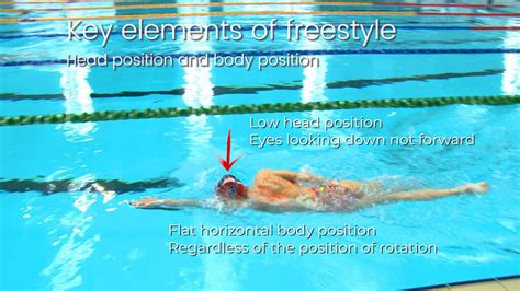 NEW – THE ANALYSIS OF SWIMMING TECHNIQUE - Warley & Millennium WASPS ...
