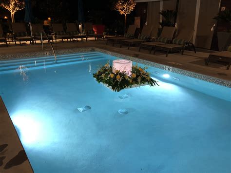 pechanga recent 101z,there's something for everyone