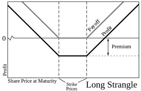 Long Strangle Option 的图像结果