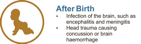 Cerebral Palsy - Cell Therapy