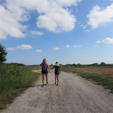 Randonnée Mystère Du Marquenterre (Saint-Quentin-en-Tourmont) - All You ...