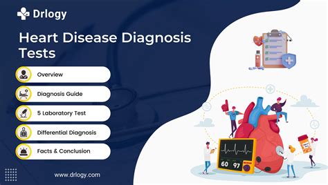 5 Best Heart Disease Diagnosis Test For Your Heart | Drlogy