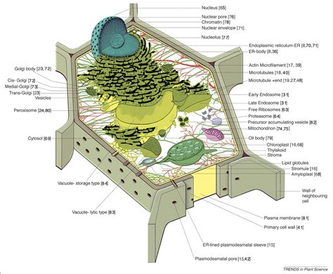 Nature Science Cell 的图像结果