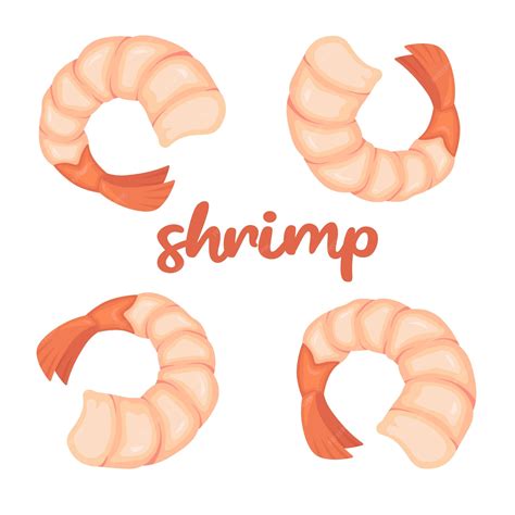 Shrimp Clip Art