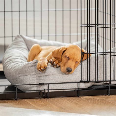 https://www.lordsandlabradors.co.uk/cdn/shop/files/LL-CCBB-IGR-lords-and-labradors-black-crate-cosy-and-calm-inchmurrin-ground-5.jpg?v=1712846388&width=1100