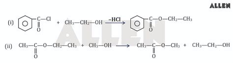 Carboxylic Acid and Its Derivatives- Properties and Chemical Reactions