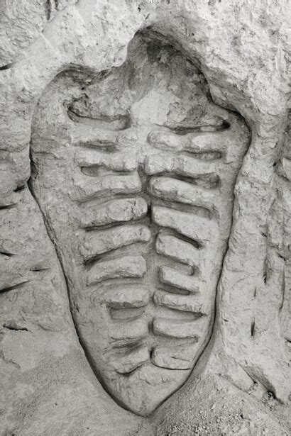 Cartografía corporal | Meer