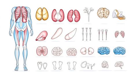 Image result for Matplotlib Elements