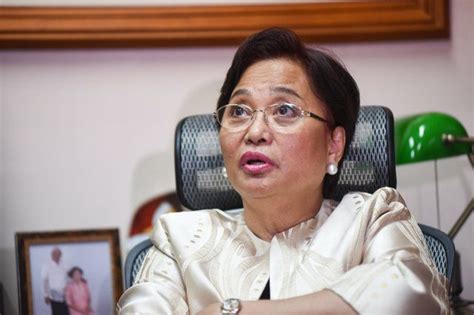 Rowena Guanzon sues mall-goer for unjust vexation, oral defamation ...