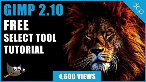 Image result for GIMP Selection Tool Tutorial