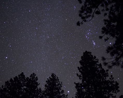 Download wallpaper 1280x1024 trees, starry sky, stars, night, darkness ...