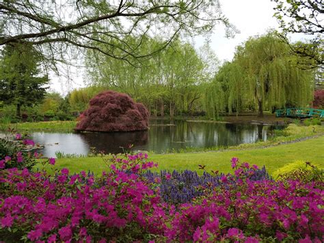 Hughes Water Gardens Projects | Oregon - Hughes Water Gardens