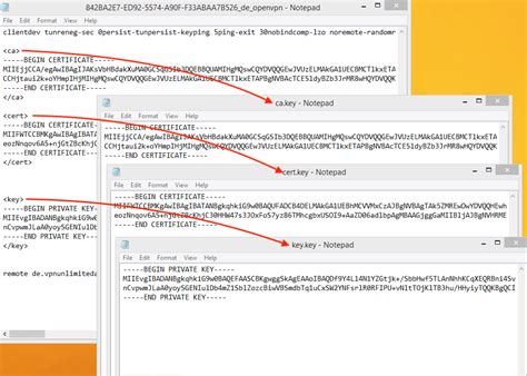 OpenWrt OpenVPN How to Use 的图像结果