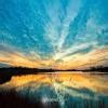 which microorganism called this disease tuberculosis common cold ...