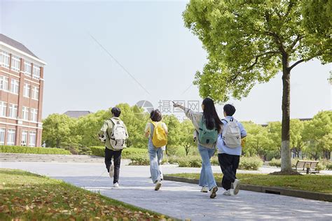 大学生校园学习生活高清图片下载-正版图片501018663-摄图网