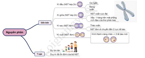 Image result for JavaScript Methods Cheat Sheet
