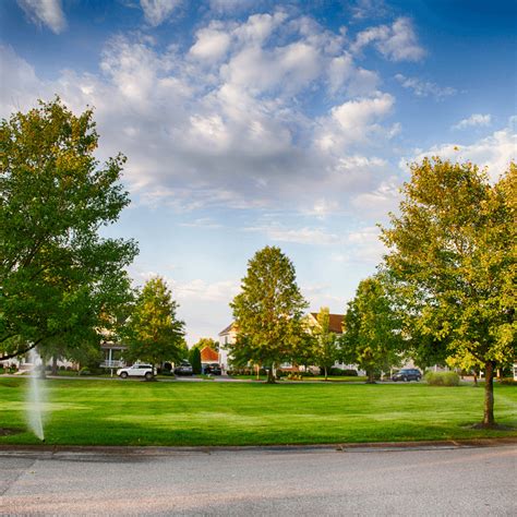 Trophy Club - Chorbie