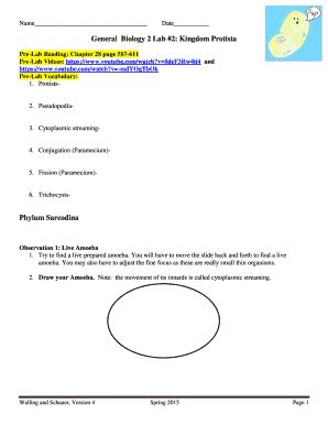 Fillable Online brazosport General Biology 2 Lab 2 Kingdom Protista ...